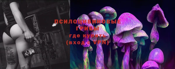 бошки Баксан