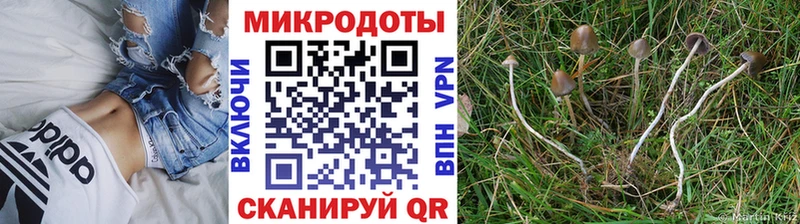 Псилоцибиновые грибы мухоморы Петров Вал